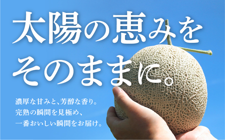 温室マスクメロン 2玉【訳あり】メロン ≪先行予約 2026年発送≫