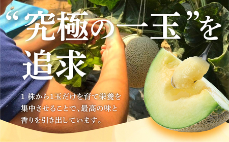 温室マスクメロン 2玉【訳あり】メロン ≪先行予約 2026年発送≫