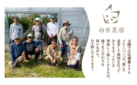 温室マスクメロン 2玉【訳あり】メロン ≪先行予約 2026年発送≫