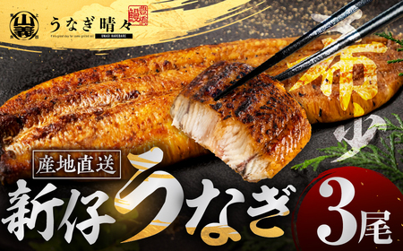 3尾 うなぎ晴々 蒲焼き 新仔 うなぎ