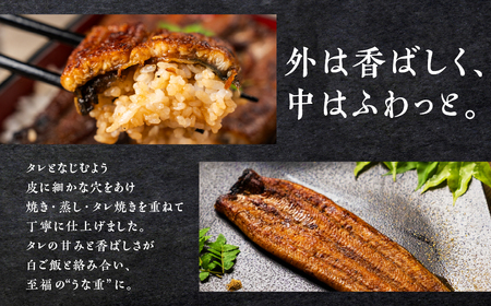 ５尾 うなぎ晴々 蒲焼き 新仔 うなぎ