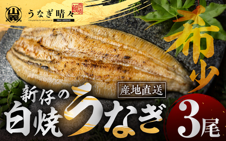 ３尾 うなぎ晴々 白焼き 新仔 うなぎ