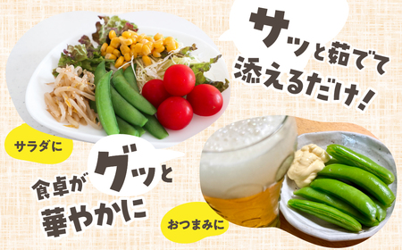 ≪先行予約≫スナックエンドウ 約1kgエンドウ スナップエンドウ サラダ 野菜 料理 夕飯 おかず 栄養バランス シャキシャキ 高糖度 糖度 旬 旬の野菜 健康 愛知県 豊橋市