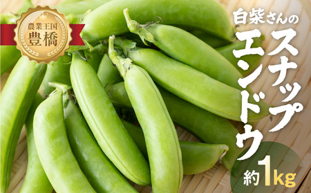 ≪先行予約≫スナップエンドウ 約1kg 産地直送 スナップ スナックエンドウ エンドウ 豆 サラダ 美味しい 料理 野菜 健康 栄養 簡単 農家直送 1キロ 高糖度 糖度 1万円 10000円 愛知県 豊橋市