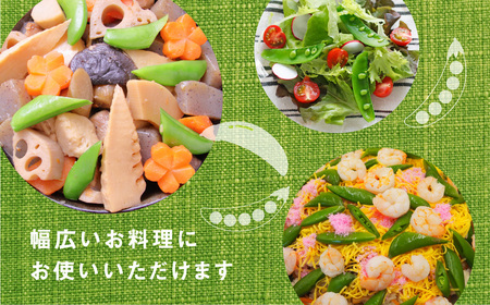 ≪先行予約≫スナップエンドウ 約1kg 産地直送 スナップ スナックエンドウ エンドウ 豆 サラダ 美味しい 料理 野菜 健康 栄養 簡単 農家直送 1キロ 高糖度 糖度 1万円 10000円 愛知県 豊橋市