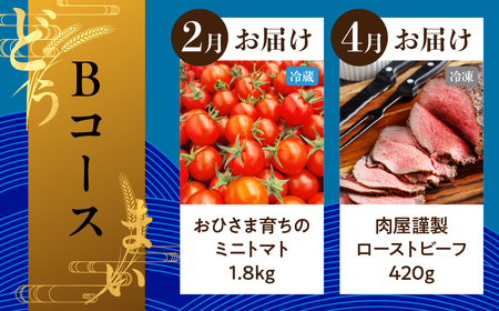 【定期便】穂の国の恵み どうまい定期便 全5回 Bコース / 愛知県 豊橋市