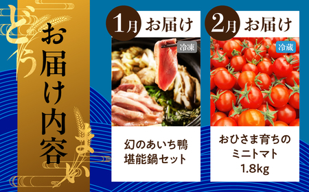 【定期便】穂の国の恵み どうまい定期便 全10回 ABコース / 愛知県 豊橋市