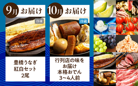 【定期便】穂の国の恵み どうまい定期便 全10回 ABコース / 愛知県 豊橋市