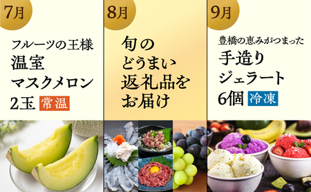 【定期便】どうまい定期便 全12回 / 愛知県 豊橋市