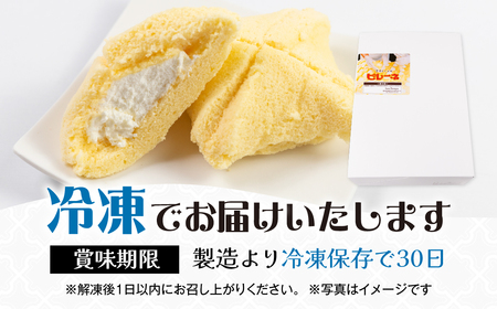 豊橋名物ピレーネ 2種 【バニラ&ブラックサンダー】12個セット コラボ スイーツ スイーツ