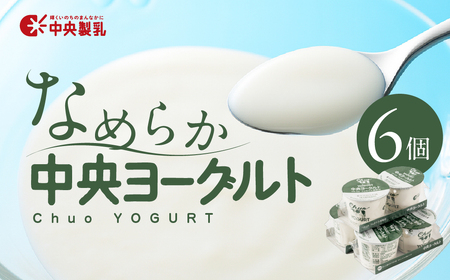 中央製乳 中央ヨーグルト2p 6個セット こだわり なめらか おやつ デザート 乳製品 乳酸菌 健康 腸活 ロングセラー 愛知県 豊橋市
