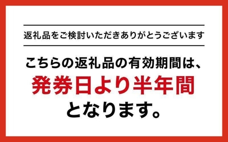 【15万円分】GINZA グローバルスタイル オーダースーツ補助券 GINZA Global Style