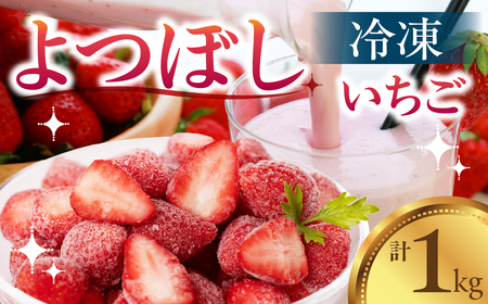 【先行予約品】冷凍いちご よつぼし 苺 1kg 冷凍 国産 豊橋産 小分けいちご 訳あり 簡易包装