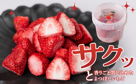 【先行予約品】フリーズドライいちご よつぼし 苺 豊橋産 いちご