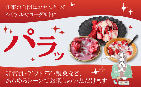 【先行予約品】フリーズドライいちご よつぼし 苺 豊橋産 いちご
