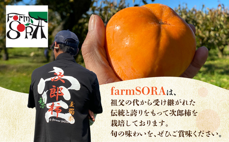 ≪2026年産 先行予約≫ 数量限定 愛知県豊橋産 次郎柿 秀品 3kg 柿 甘柿