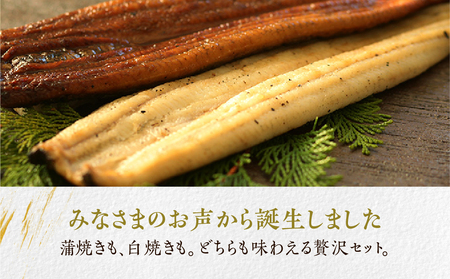 うなぎ晴々 紅白 ４尾（蒲焼３尾、白焼１尾）新仔うなぎ