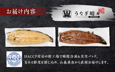 うなぎ晴々 紅白 ４尾（蒲焼３尾、白焼１尾）新仔うなぎ