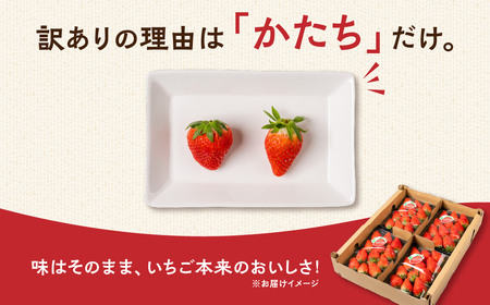 ≪先行予約残りわずか≫ 章姫 訳ありいちご 計1kg 苺 イチゴ 規格外