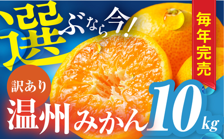 【年内お届け】みかん 10kg 温州 みかん