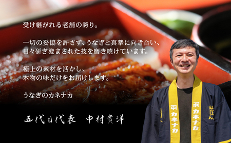 【12回 定期便】国産若うなぎ 2尾 老舗 うなぎ