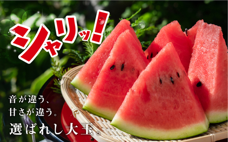 ≪先行予約 2026年発送≫ ながちゃん農園の 大玉スイカ 1玉｜すいか 西瓜 スイカ