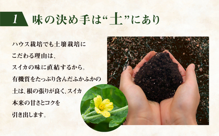 ≪先行予約 2026年発送≫ ながちゃん農園の 大玉スイカ 1玉｜すいか 西瓜 スイカ