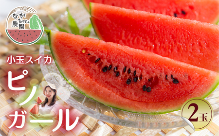 ≪先行予約 2026年発送≫ ながちゃん農園の 小玉スイカ 2玉|ピノガール 小玉すいか 小玉 すいか 西瓜 スイカ