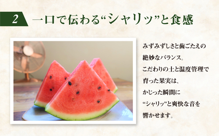 ≪先行予約 2026年発送≫ ながちゃん農園の 小玉スイカ 2玉|ピノガール 小玉すいか 小玉 すいか 西瓜 スイカ