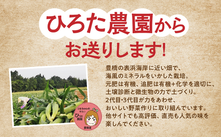 ≪先行予約≫ 令和8年産（2026年収穫）訳あり とうもろこし 10本 直売所で大人気 愛知県 豊橋市 夏野菜 野菜 ミネラルたっぷり 海風そだち 潮風 BBQ 家族で フードロス わけあり 規格外 大容量 豊橋 ともちゃんのやさい