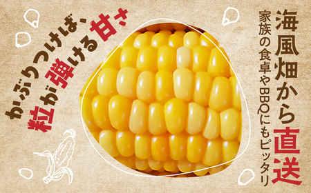 ≪先行予約≫ 令和8年産（2026年収穫）訳あり とうもろこし 30本 直売所で大人気 愛知県 豊橋市 夏野菜 野菜 ミネラルたっぷり 海風そだち 潮風 BBQ 家族で フードロス わけあり 規格外 大容量 豊橋 ともちゃんのやさい