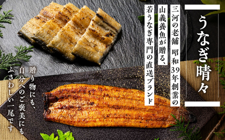 【定期便】蒲焼き４尾 １２ヶ月連続お届け うなぎ晴々 新仔 うなぎ
