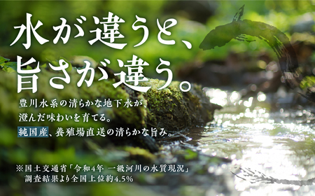 【定期便】蒲焼き４尾 １２ヶ月連続お届け うなぎ晴々 新仔 うなぎ