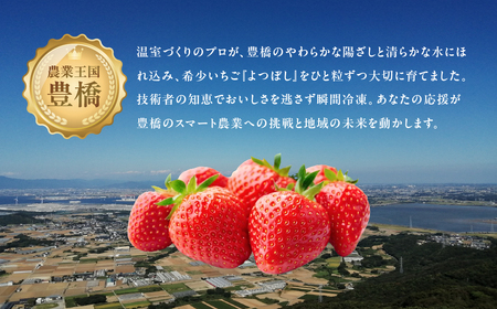 フレッシュいちご 『よつぼし』 1kg 苺