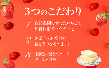 ブールドネージュ　訳あり（簡易包装）