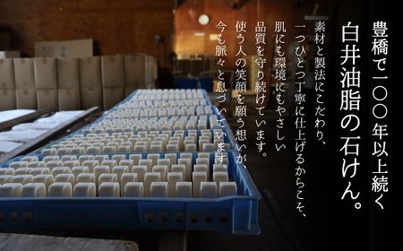 ミセル固形石けん 15個 せっけん 石けん 石鹸 固形石けん 固形 洗剤 洗濯 洗濯石けん 無香料 手作業 掃除 食器 食器洗い 日用品 愛知県 豊橋市 10000円