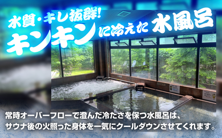 サウナピア ご利用チケット 1枚 (レギュラー)