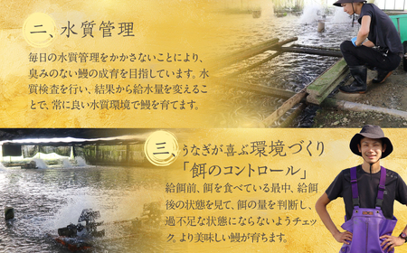 ハズレない 国産 うなぎ 白焼き 2尾 100g 中サイズ 計200g 国産うなぎ 鰻 厳選 ウナギ かば焼き 丑の日 高級 贅沢 ご褒美 特産品 ふっくら お取り寄せ うな重 うな丼 ひつまぶし 冷凍 誕生日 お祝い 内祝い お中元 お歳暮 愛知県 豊橋市
