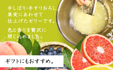 ≪先行予約≫ 数量限定 旬がぎゅっとつまったフルーツゼリー 9個 セット おやつ デザート マンゴー ブラッドオレンジ 小島梨 いちご ブルーベリー 桃 ぶどう グレープフルーツ ジュレ ご褒美 ギフト プレゼント 贈答 愛知県 豊橋市 国産