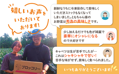 オレンジカリフラワー　8個