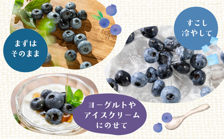 【数量限定】贈答用 生ブルーベリー　400g