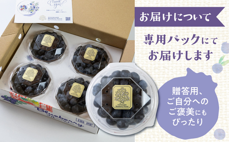 【数量限定】贈答用 生ブルーベリー　400g