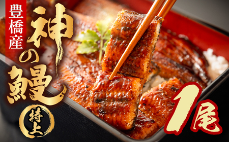 うなぎの新ブランド、開幕。『神の鰻』1尾 国産 特上 鰻