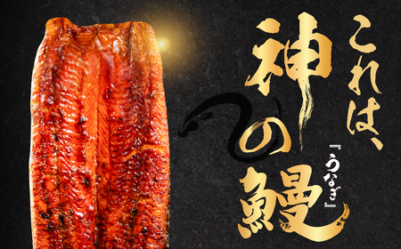 うなぎの新ブランド、開幕。『神の鰻』3尾 国産 特上 鰻