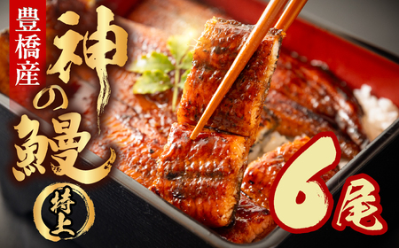 うなぎの新ブランド、開幕。『神の鰻』6尾 国産 特上 鰻