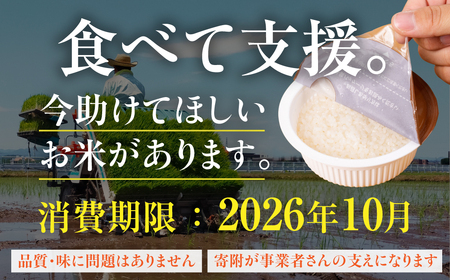 パックごはん レトルトごはん 20食 ごはん