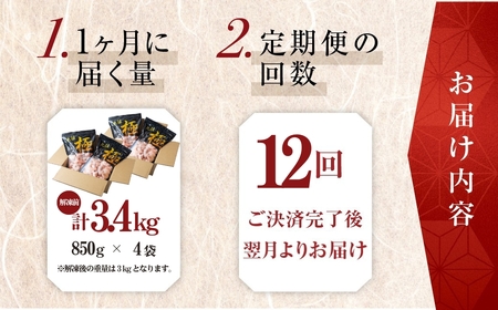 【 12回 定期便 】極 むき海老 大粒 3.4kg むきえび 高級 特選 大型 大サイズ 正味量 3kg 下処理済み 背わたなし バラ凍結 海鮮 えび 背ワタ処理済み 時短 簡単調理 冷凍 定期 海鮮 