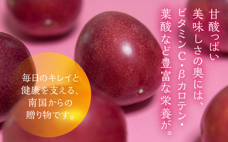 ≪先行予約≫ 国産パッションフルーツ 約3kg【業務用規格外品】