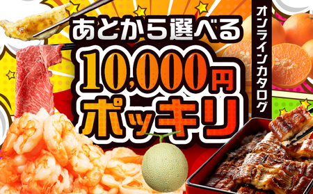 あとからゆっくり返礼品を選べる♪ 10000円 ポッキリふるさと納税 カタログ