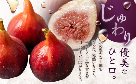 完熟いちじく 12玉 国産 いちじく